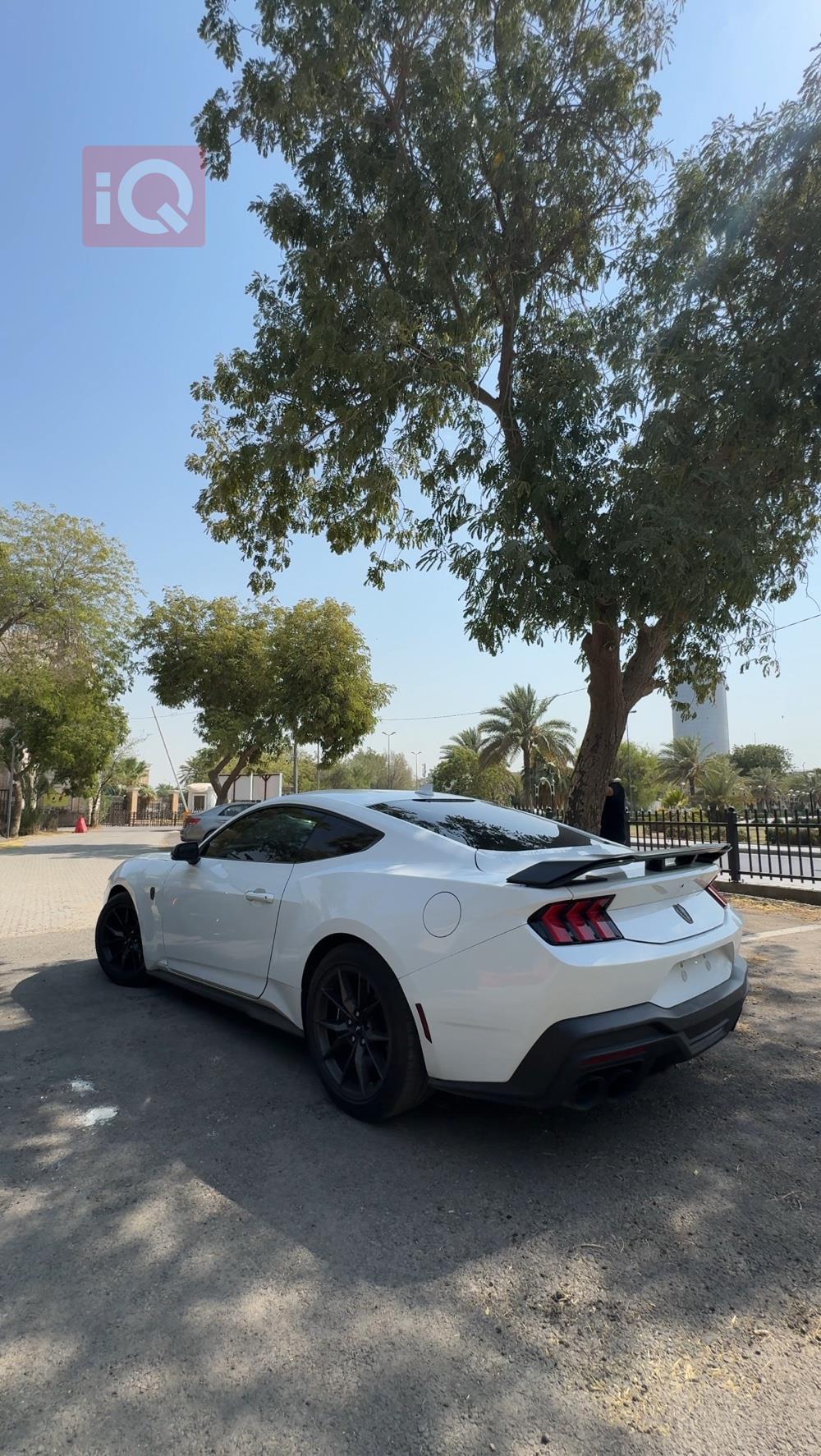 فورد موستانج